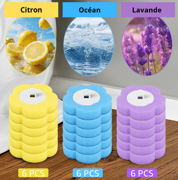 ✨ Brosse de Toilette Jetable